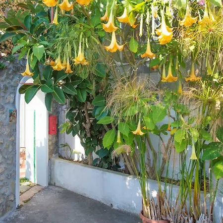 Casa Del Fico *